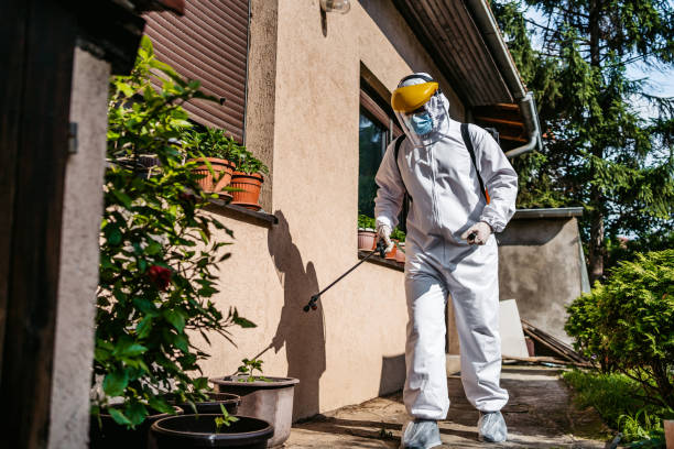 Best Pest Removal Services  in Spirit Lake, IA