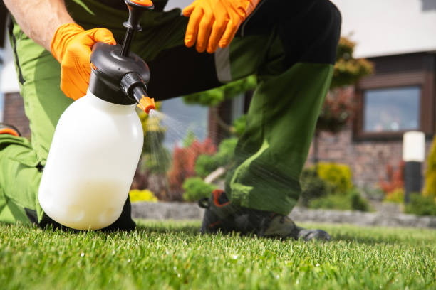 Best Local Pest Control Services  in Spirit Lake, IA