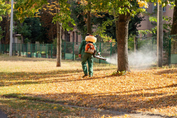 Best Insect Control  in Spirit Lake, IA